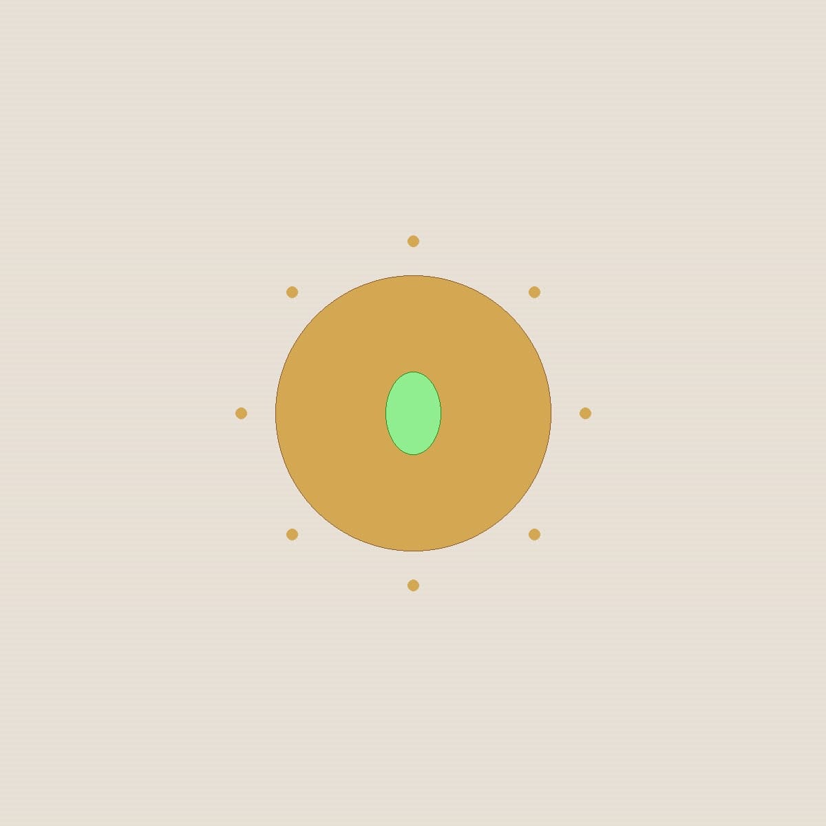 Macadamia Sea Salt Brittle